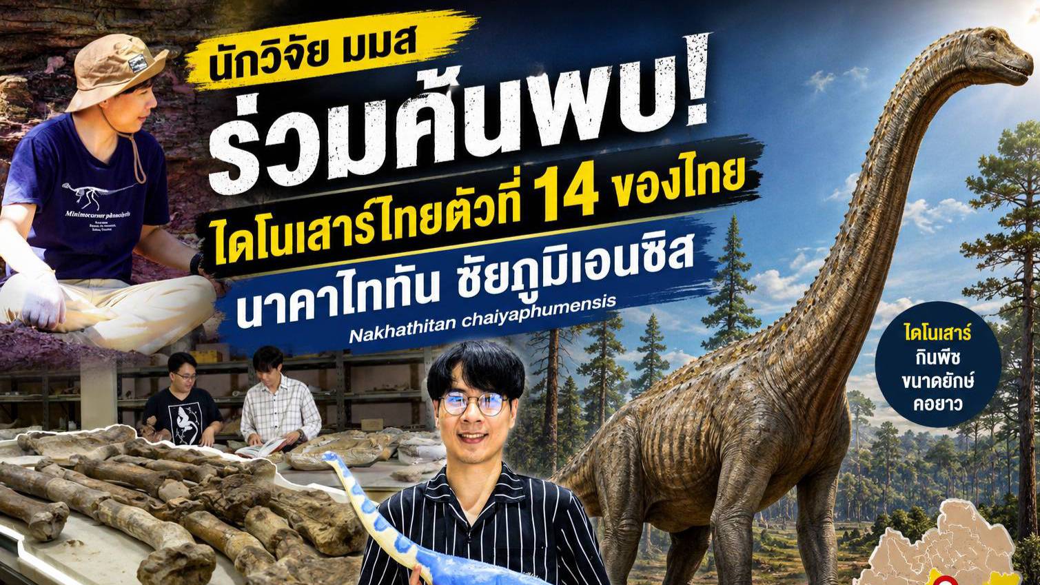 นักวิจัย มมส ร่วมค้นพบไดโนเสาร์ไทยตัวที่ 14 ของไทย นาคาไททัน ชัยภูมิเอนซิส